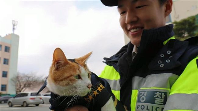 警貓穿制服陪同執勤！感謝歐爸助產