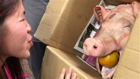 聖誕節,耶誕節,交換禮物,神豬,豬頭,橘子,觸霉頭,中元,普渡(爆料公社 https://www.facebook.com/162608724089621/photos/a.162626540754506.1073741828.162608724089621/394032034280621/?type=3&theater)