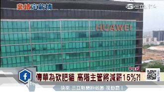 傳華為砍肥貓　高階主管將減薪15%