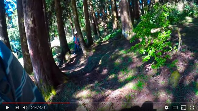 兩女步道旁5秒小便　網友阿里山奇遇