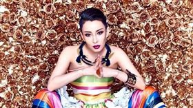 （圖／翻攝自溫嵐臉書）