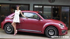 金龜車 台灣福斯汽車 Beetle Dune