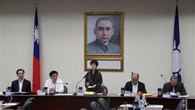 國民黨中常會，黨主席洪秀柱。（國民黨提供）