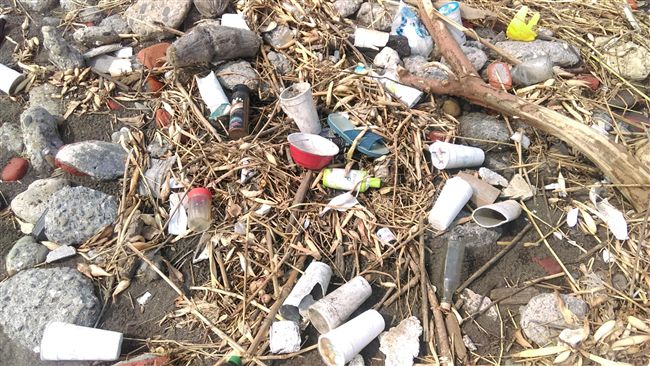 聽海哭的聲音！海洋廢物榜首：寶特瓶