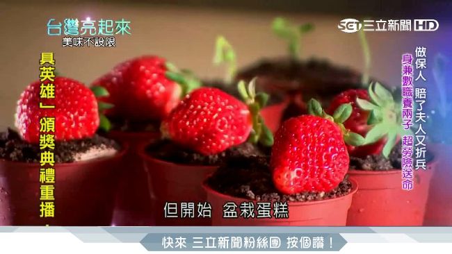 木匠師傅玩創意　用盆栽蛋糕逆轉人生