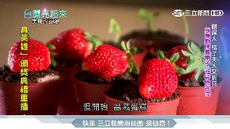 木匠師傅玩創意　用盆栽蛋糕逆轉人生