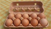 賣蛋不能散裝　主婦聯盟籲政策要彈性