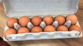 雞蛋、合裝蛋、土雞蛋（圖／中央社）
