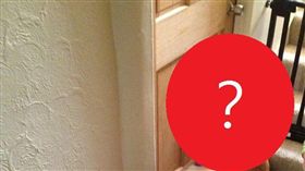  寵物站一排等老婆出門。(圖/翻攝自imgur)-http://imgur.com/gallery/0WTY1