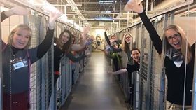 聖誕節,禮物,狗,貓,人道協會,收容所,TheGazette,美國　圖／翻攝自TheGazette