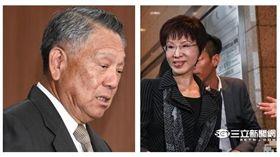 詹啟賢、洪秀柱（圖／資料照）