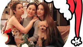 S.H.E一家六口（圖／翻攝自 任家萱 Selina臉書）
https://www.facebook.com/himselina/photos/a.100721163389357.286.100686060059534/1079221142206016/?type=3&theater