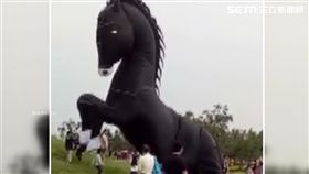 花毯節開幕頑童光臨 