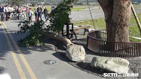 金城武樹樹枝砸到70歲遊客