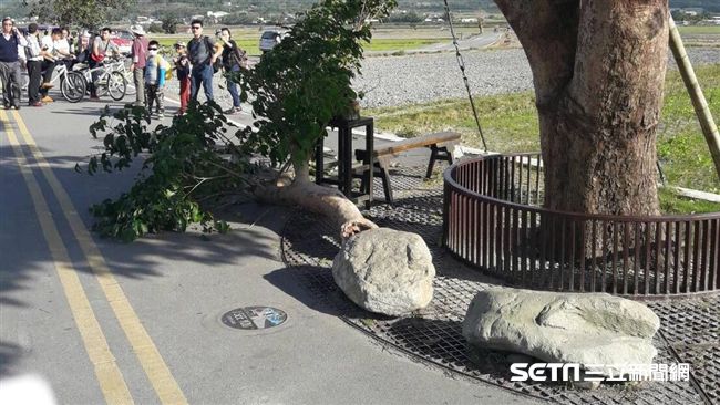 大貨車扯落金城武樹枝　老翁遭砸傷