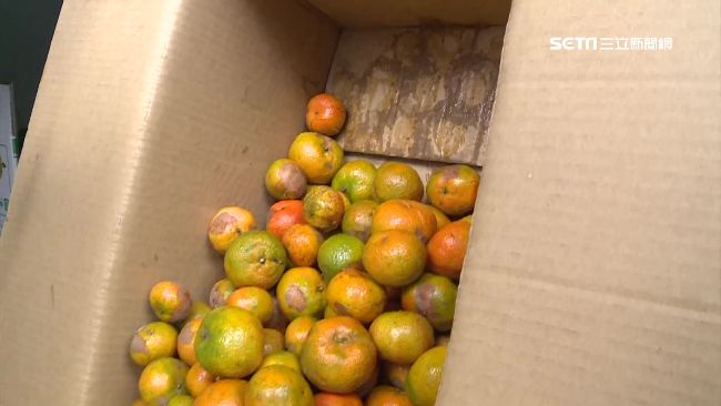 宅配到府變爛橘　果農控貨運公司不賠