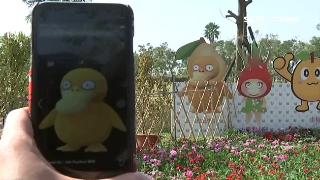 花毯節爆抄襲可達鴨？太平農會回應了
