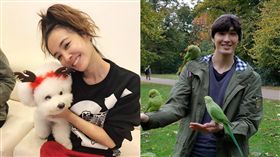 圖／翻攝自蔡依林、錦榮臉書