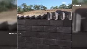 骨牌式砌磚1200.