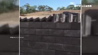 最狂鋪磚奇蹟！「骨牌式」砌磚網熱議