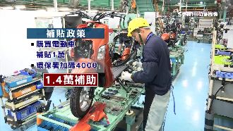 優惠再延5年　立委籲電動車應排富