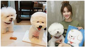 蔡依林,屋虎,圖／臉書