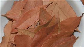 月桂葉,香料,奧客　圖／翻攝自維基百科