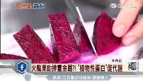 s 火龍排金屬1800