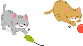 名家_毛起來MaoUp_貓咪慣用手