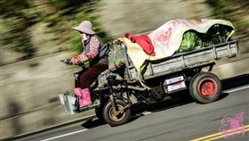 １６：９
一張運菜阿婆追焦照　讓網友眼角濕了
圖／翻攝自MotoCity重車論壇
http://motocity.com.tw/gp2/viewtopic.php?t=471441