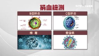 愛滋空窗期11天　捐血篩檢難防堵