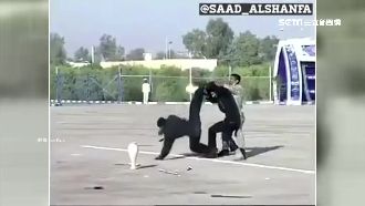 伊朗「特種部隊」飛踢花瓶慘遭彈飛