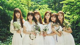 GFRIEND登紅白　圖／台視提供