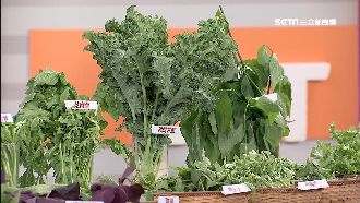 價值爆棚的蔬菜！本土明星抗癌護心