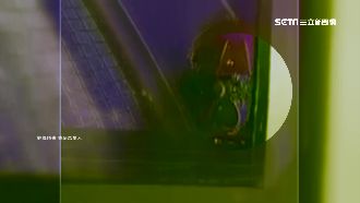 紅傘女怪客下毒手　金桔樹慘變禿頭！