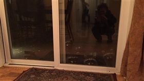 浣熊,習性,討食,歌手,美國,西雅圖,Kaylah Lynn,吐司(推特 https://twitter.com/eIegantmind?ref_src=twsrc%5Etfw)