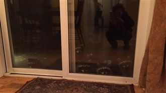 影／順手餵浣熊吐司　隔日家人全來了