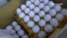 -雞蛋-