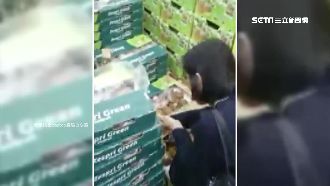 婦挑美式賣場奇異果　竟開盒又捏又摸