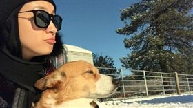 林依晨2017元旦西雅圖跨年文。(圖/翻攝自林依晨微博)-http://www.weibo.com/1785075474/EoPoeCTlq?from=page_1004061785075474_profile&wvr=6&mod=weibotime&type=comment#_rnd1483275644127