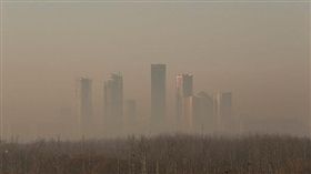 取自澎湃新聞網