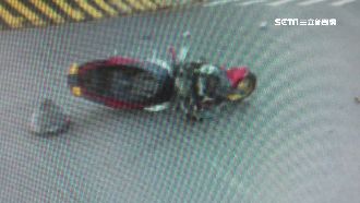 闖紅燈連過5車道　騎士被撞飛命危