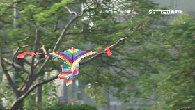 國館禁風箏g1800