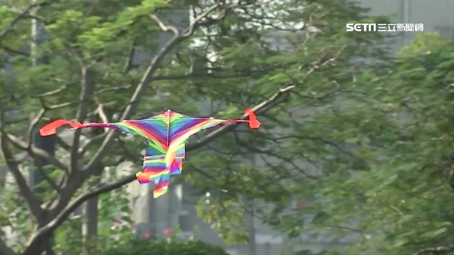 影響飛安　國父紀念館禁「放風箏」