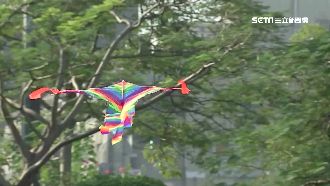 影響飛安　國父紀念館禁「放風箏」