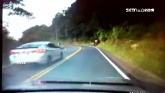 馬路當賽道！玩命駕駛失控撞山翻覆