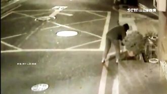 婦偷整顆芙蓉樹　網友：卡到多少陰？