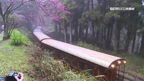 阿里山森林鐵路_TVR截圖