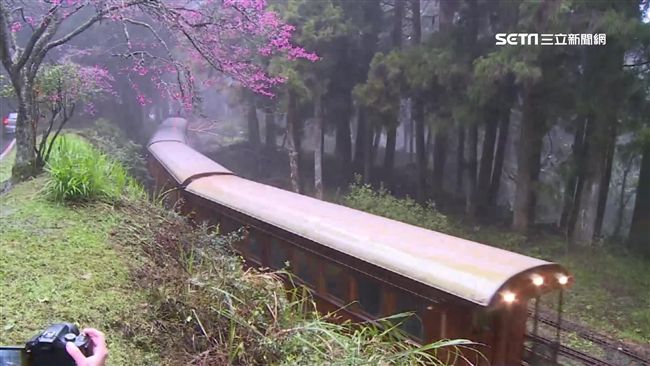 阿里山森鐵將斷炊？基層：沒那麼糟