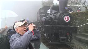 -阿里山森林鐵路-阿里山森鐵-阿里山-